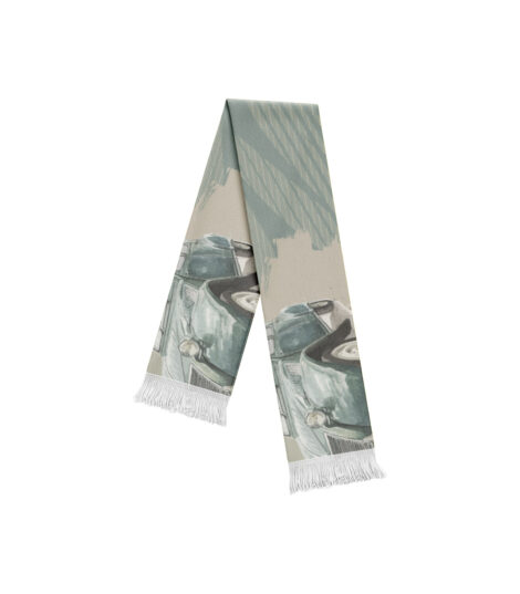 citroen-2cv-schal-04